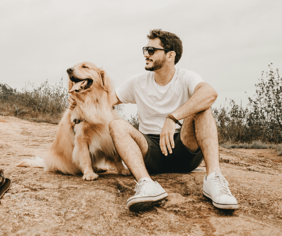 chien n’écoute pas